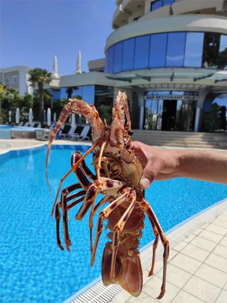 Vela Hotel Restaurant Golem  Dış mekan fotoğraf